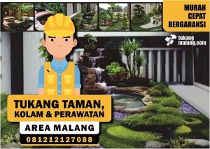 17. TUKANG TAMAN-KOLAM